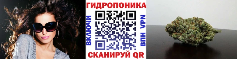 Виды наркотиков купить Короча Cocaine  Меф  ГАШИШ  Каннабис 
