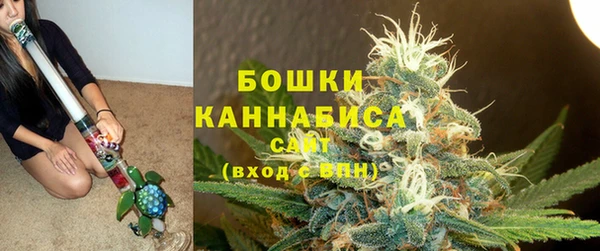 2c-b Белокуриха